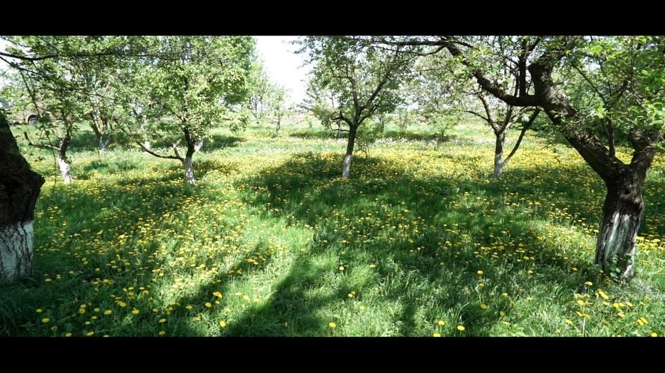 Oferta Conac boieresc P+M,teren 20400 mp - Poză 18