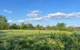 Proprietate generoasă: Casă cu 4 camere, anexe și teren de 3000 m²-Com. Țiganași - Poză 4