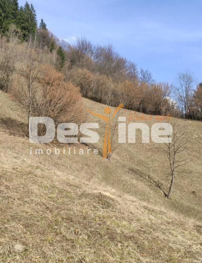 Teren 5000 mp, ideal cabana, pensiune,  in zona de interes  turistic  Rucar-Bran - Poză 3