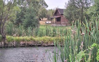 VANZARE ANSAMBLU CASUTE BRADULET ARGES - Poză 14