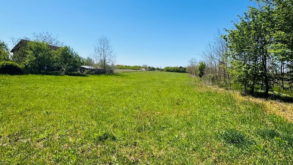 Teren intravilan 3800 mp Alparea lângă pădure - Poză 1