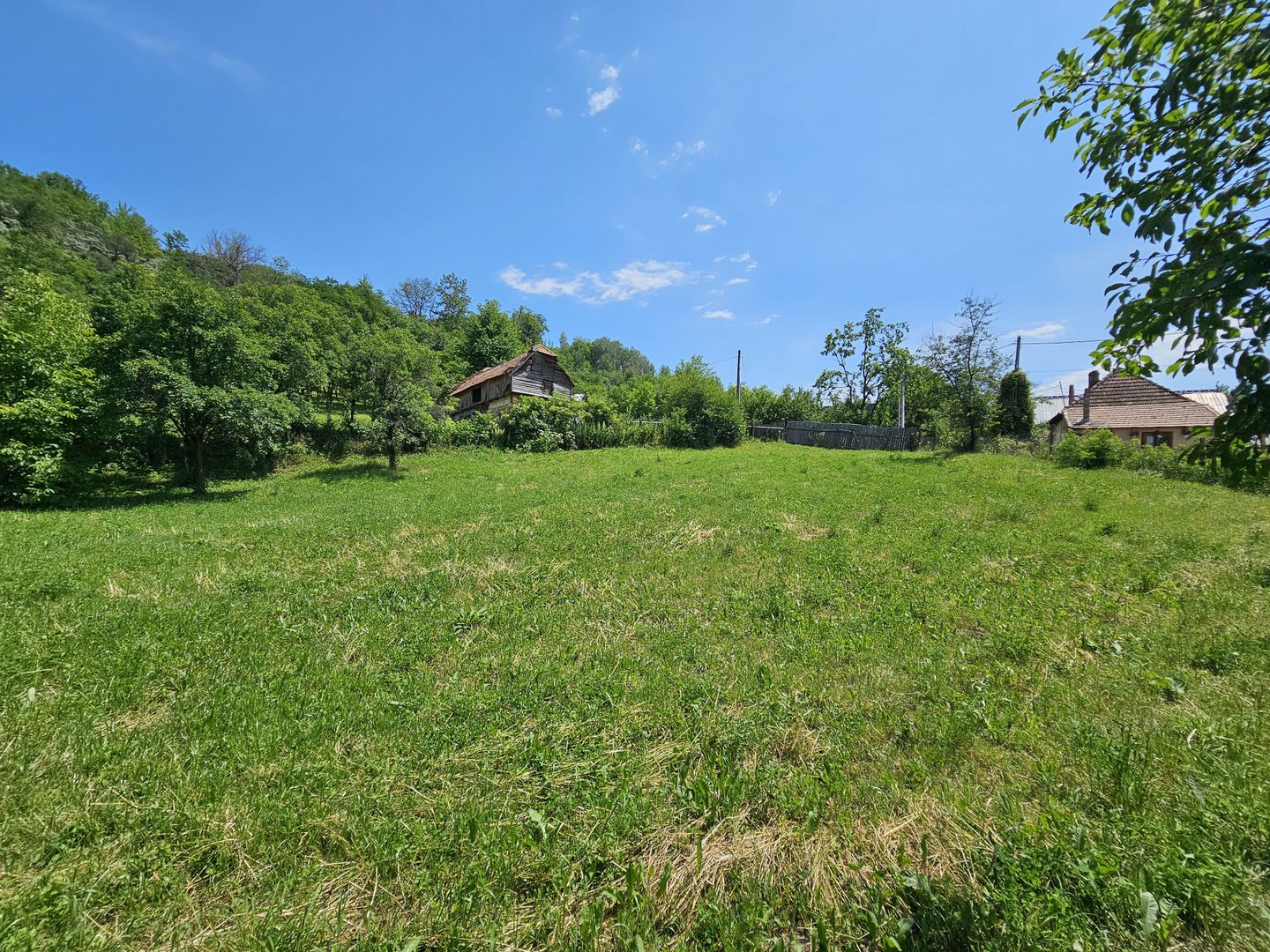 Teren de Vanzare in Plopu - Darmanesti, cu toate utilitatile - Poză 4