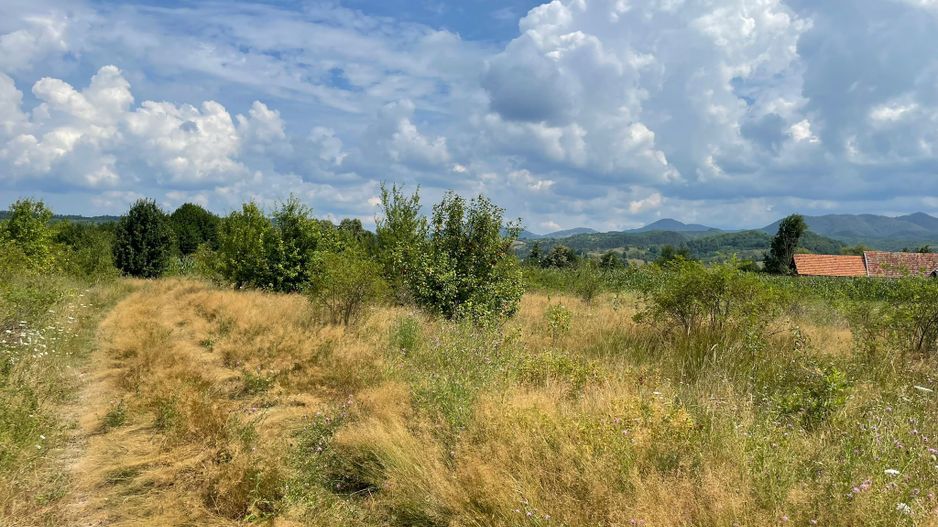 Teren de vanzare in Meziad. - Poză 6