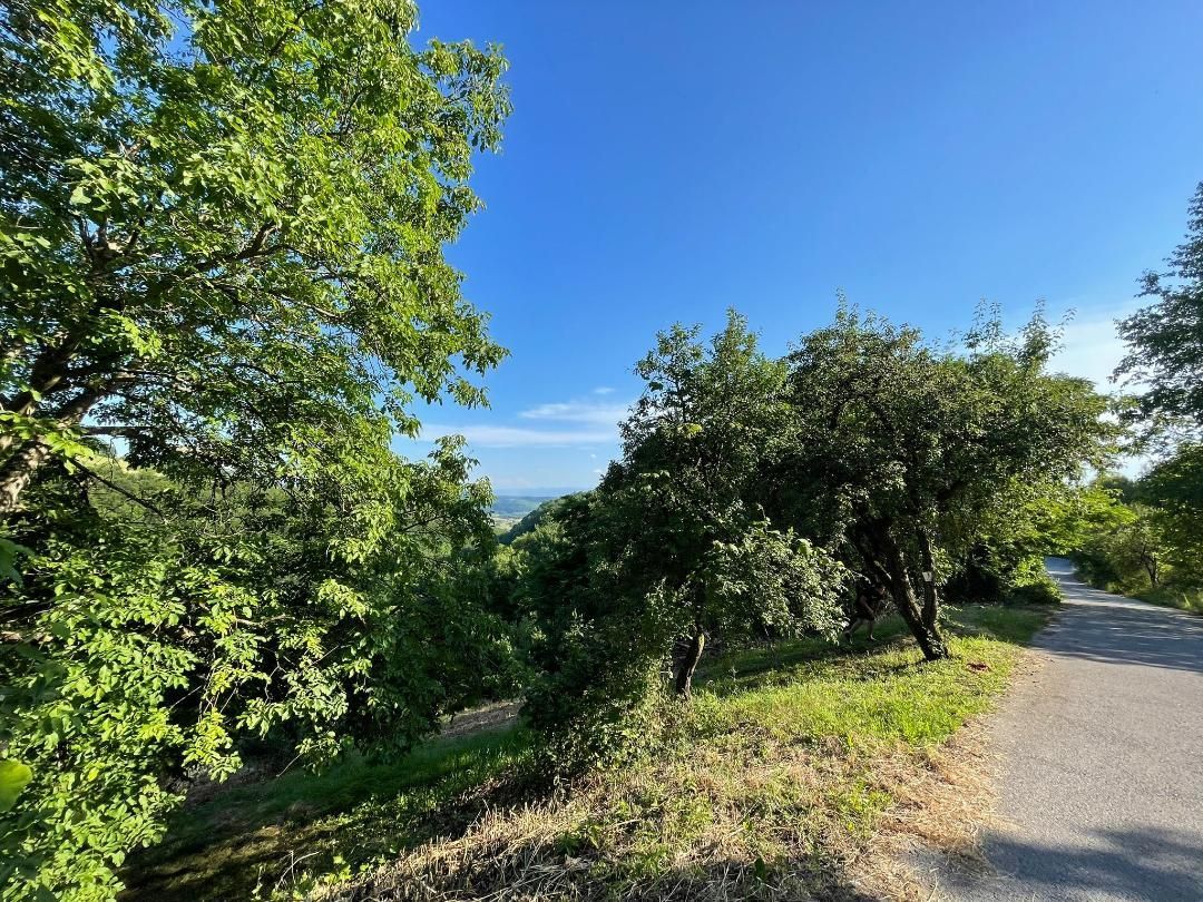 Teren zona turistica Rosia - Poză 5