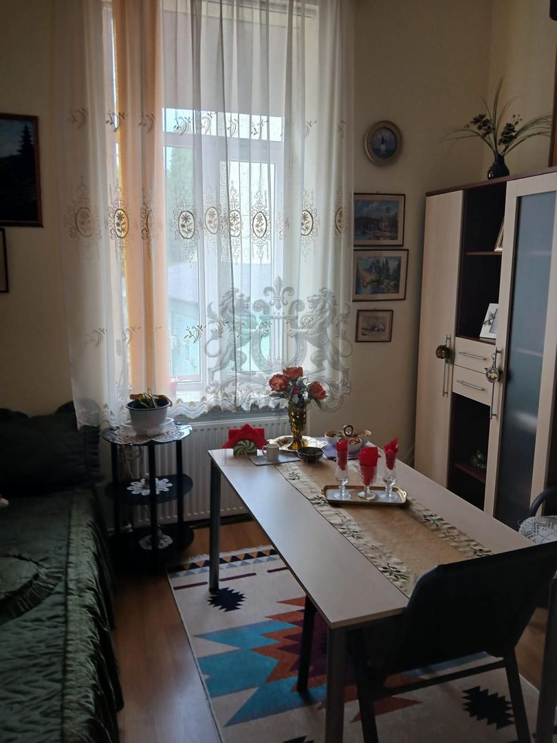 Armeneasca | Vila | Etaj + Mansarda | - Poză 9