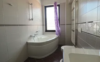 IANCU NICOLAE  135 mp Utili | Living 41 mp | 2 Terase 2 Locuri Parcare - Poză 15