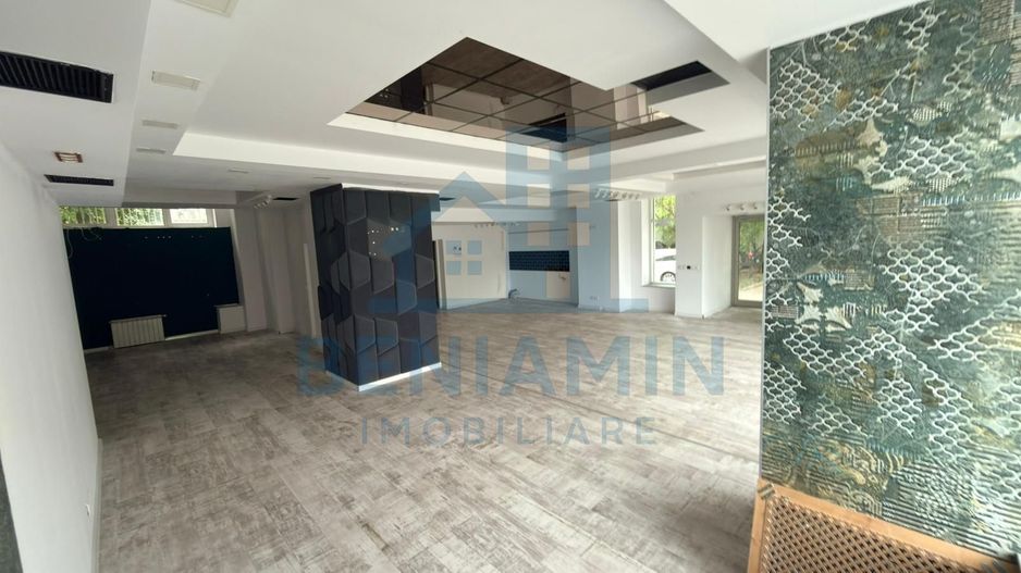 Oportunitate - Spatiu Comercial - Vad - 130-mp - Calea-Bucuresti - Poză 4