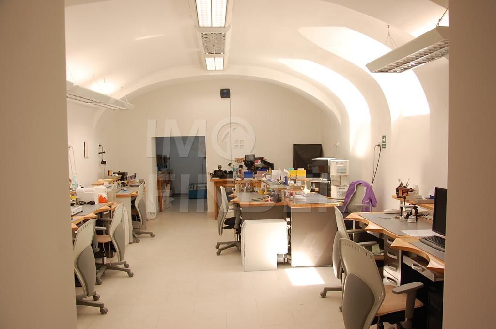 Proprietate unica 271 mp construiti, Centru, zona Horea - Poză 11