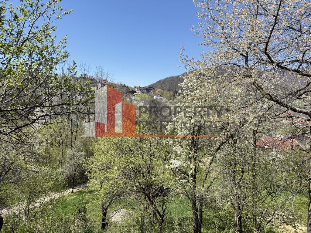 Teren 2500 mp Sohodol - Poză 15