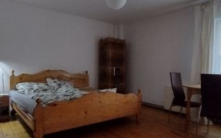 Casă cu grădină, viță de vie și pomi – Gruia, aproape de centru - Poză 4