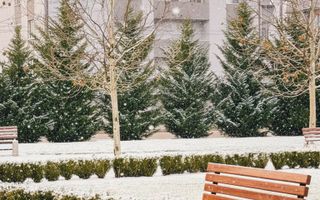 Apartament de Vanzare /  Zona Vivo / Floresti - Poză 13