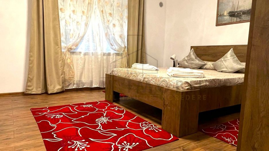 APARTAMENT 1 CAMERA | CENTRAL | PIATA UNIRII | 10 MINUTE DE UMF - Poză 4
