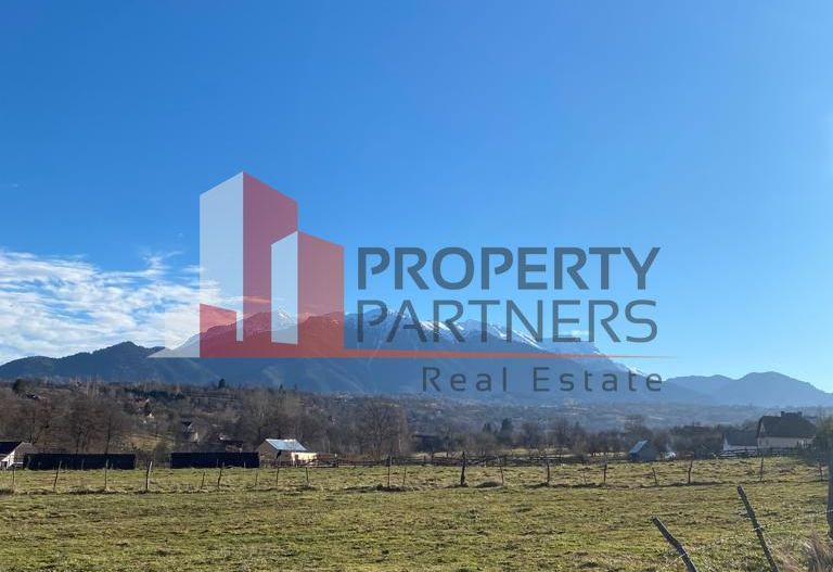 Teren Sohodol 10.000 mp - Poză 2