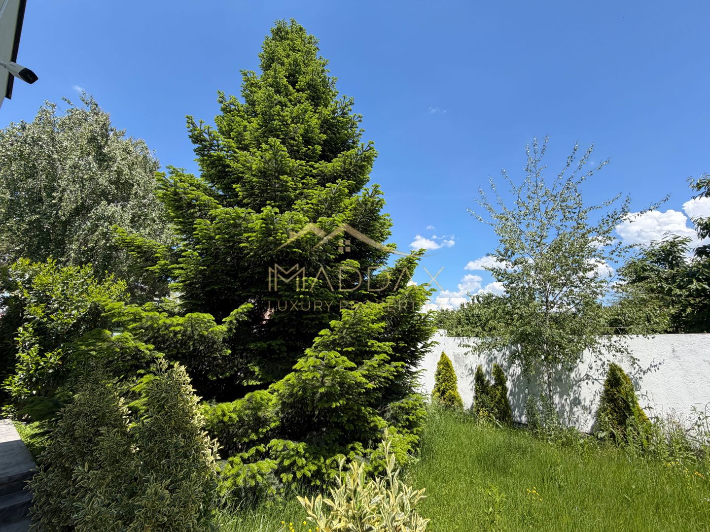 Vila cu 5 camere // * 565 mp gradina* // Tunari - Poză 118