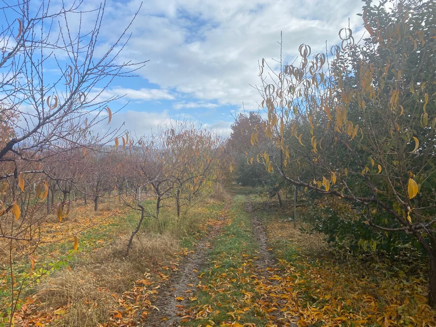 Vanzare casă spațioasă cu teren generos în Cândești Vale–jud Dambovita - Poză 20