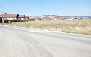 Teren 27.000 mp.deschidere la 2 drumuri ,75 euro mp. - Poză 3
