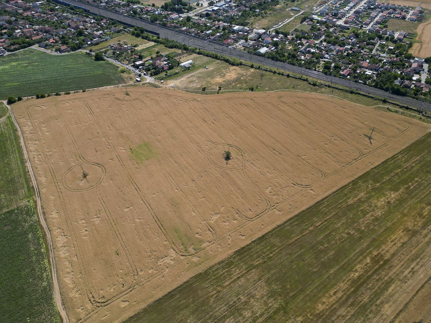 Tern intrevilan 4003 mp - Poză 13