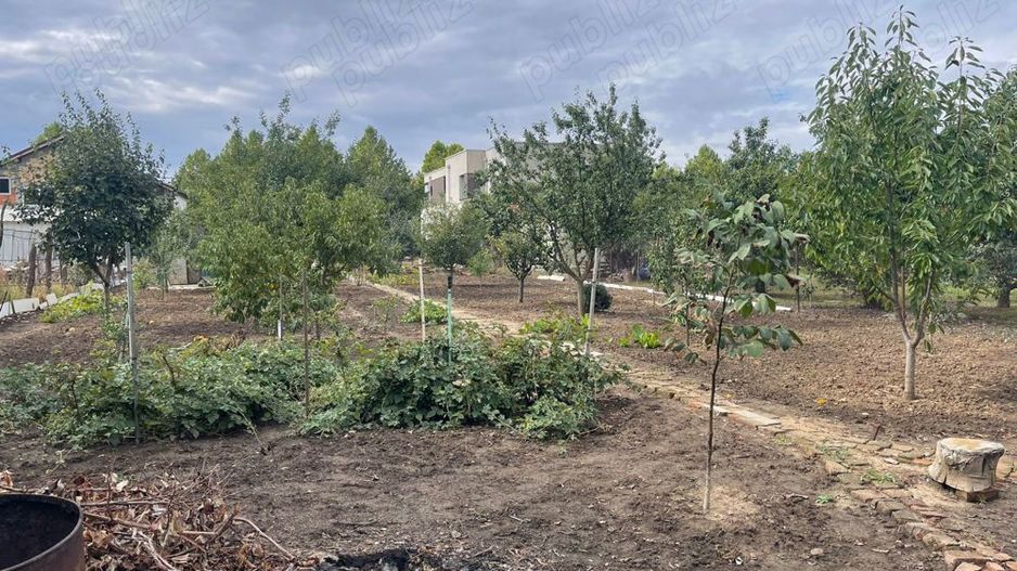 Teren de vanzare | Mogosoaia | 1252 mp - Poză 1