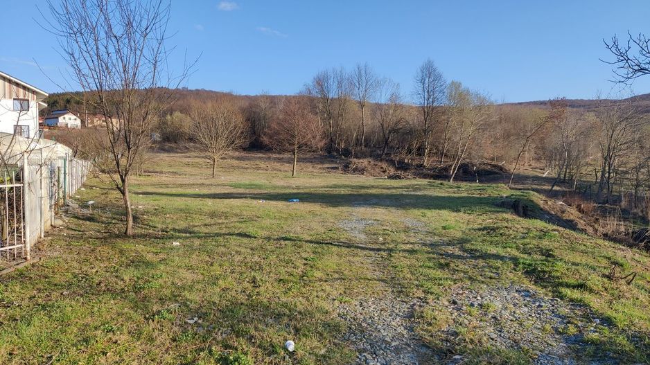 Teren de vanzare in Faget! 3600 MP! PUZ Aprobat! - Poză 4