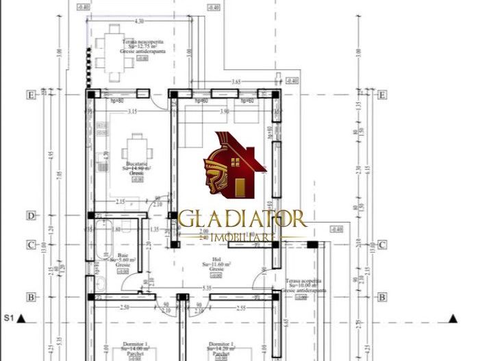 Casa plan parter deosebita, Lunca Cetatuii Ciurea, la asfalt, zona vis - Poză 6