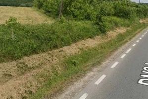 Vânzare teren Poieni Iasi 15.000 mp sau parcelat - Poză 2