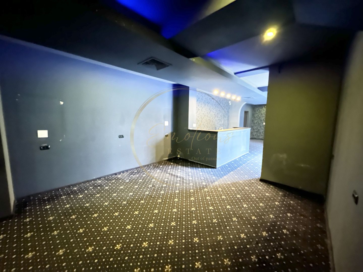 NOU | Spațiu Comercial - Calea Şagului - Poză 4