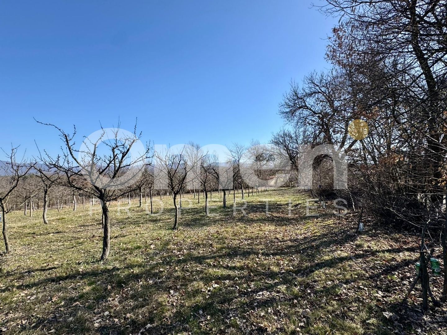 Teren intravilan | Berința | 5800 mp - Poză 6