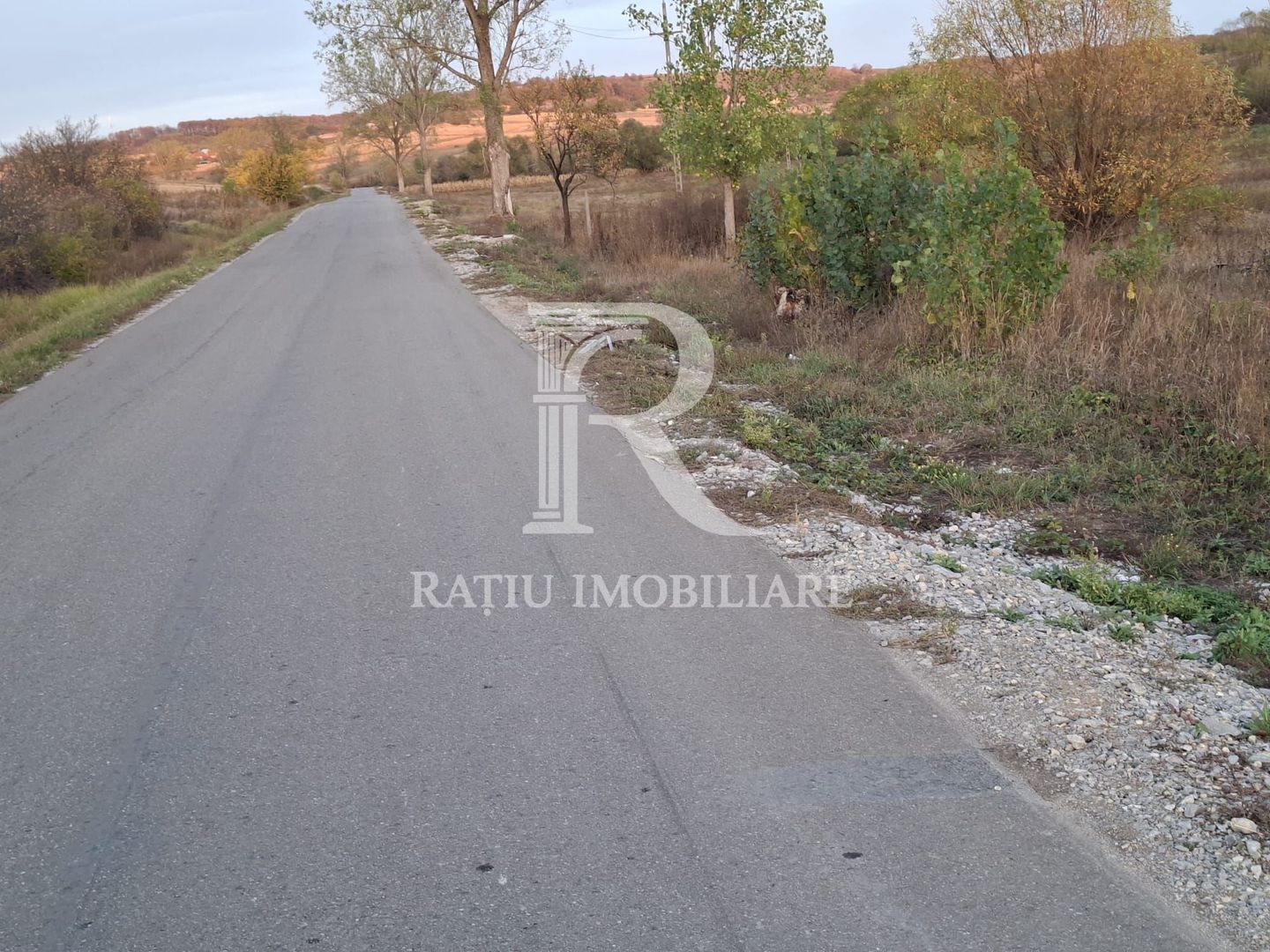 Teren extravilan | 3400 mp  | Hidiselul de Sus | Oradea | Bihor - Poză 4