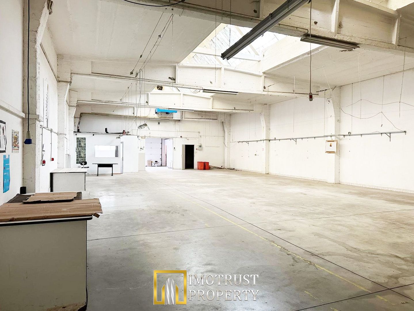 Hală industrială 431 mp de închiriat – central Arad, acces TIR - Poză 5