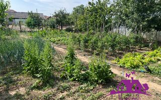 Casa in localitatea Nojorid - Poză 11