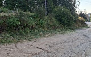 Pensiune de vânzare în Păltiniș – oportunitate de investiție - Poză 7