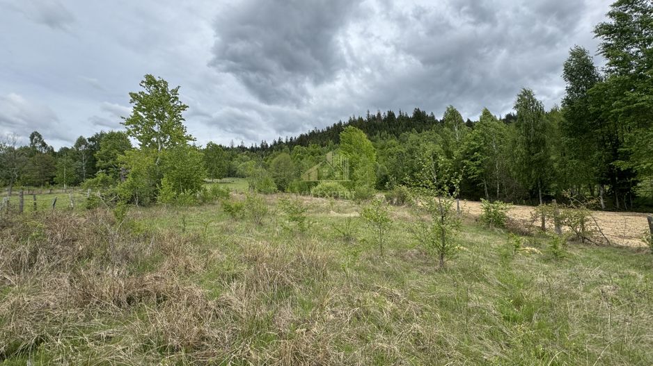 TEREN INTRAVILAN 6680 MP LERESTI ARGES - Poză 1