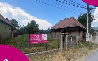 GRADINA BUNICII DE ODINIOARA,DE VANZARE -PAPAUTI,COVASNA. - Poză 1