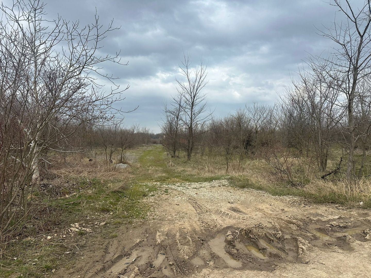 Teren intravilan cu PUZ aprobat 33.683 mp – Săftica/Balotești – deschidere DN1 - Poză 20