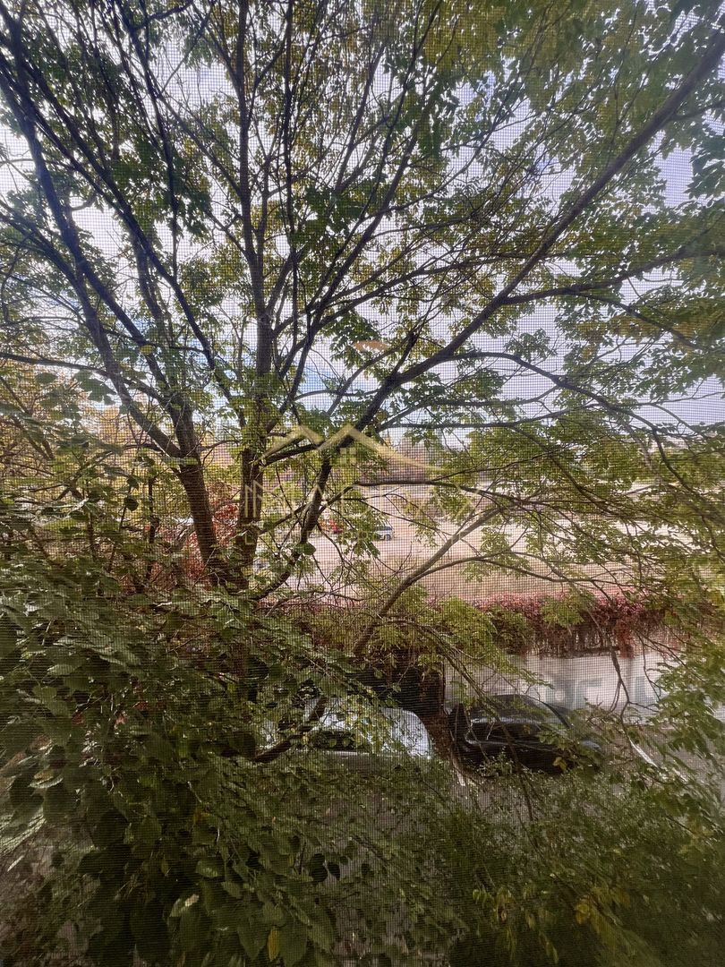 Apartament 2 camere // Gorjului - Lujerului - Poză 5