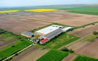 HALE INDUSTRIALE & PLATFORME BETONATE & TEREN INTRAVILAN 23500MP CRAIOVA - Poză 5