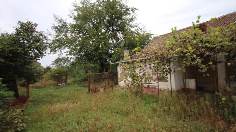 Teren de vânzare - 1900 mp Dumbravita - Poză 6