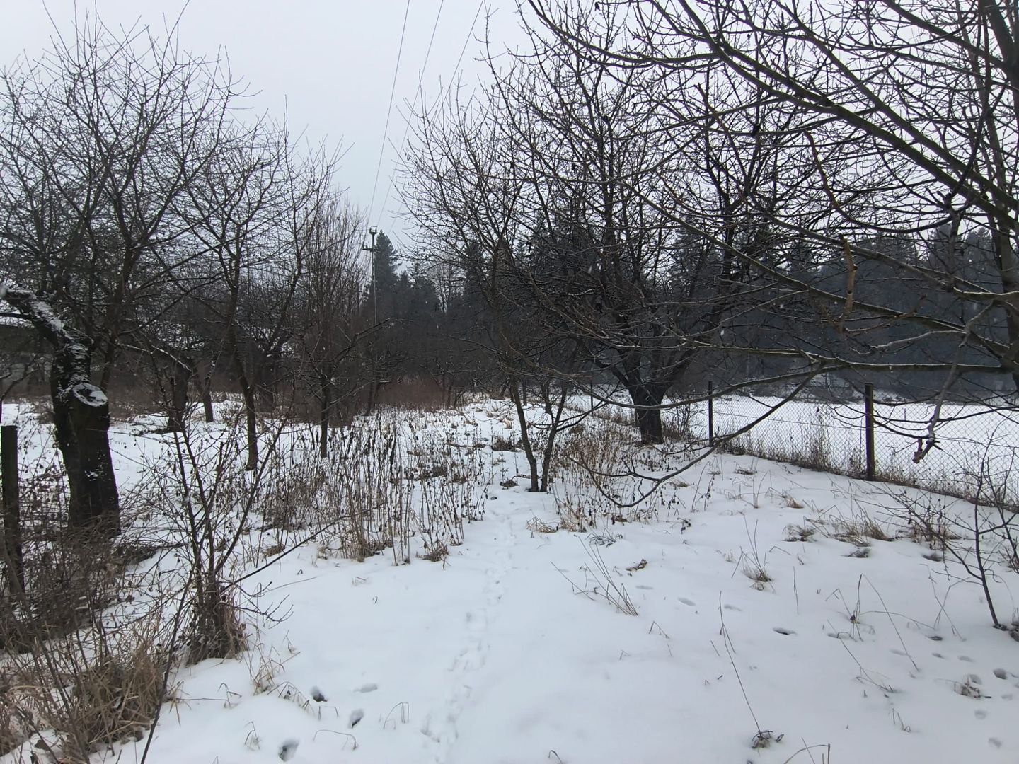 CASA DE VANZARE + ANEXE 2500 MP / PUTNA - Poză 14