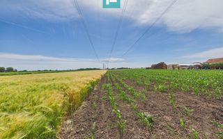 Teren extravilan în suprafață de 10.000 mp, Arad - Poză 12