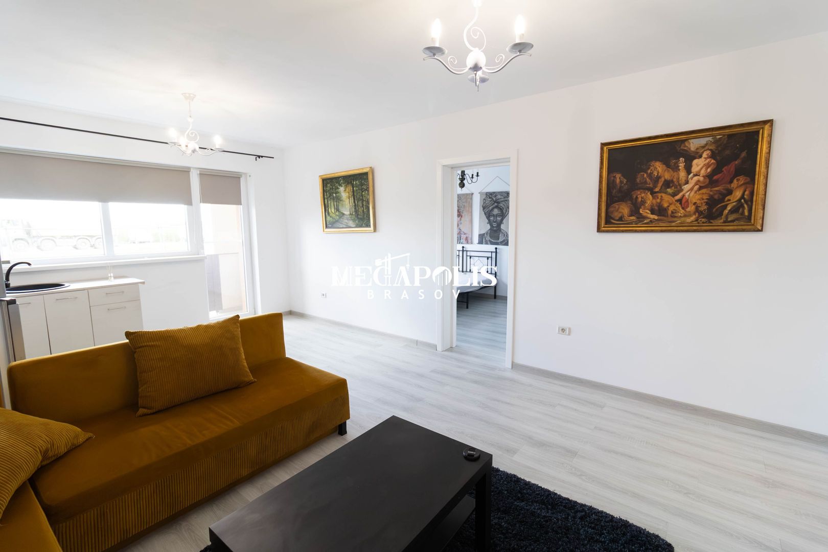 Studio Sanpetru Mobilat Utilat - Poză 14