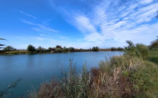 Balta de Pescuit | Cabana din Busteni | Teren 6,37 ha | langa Oradea - Poză 17