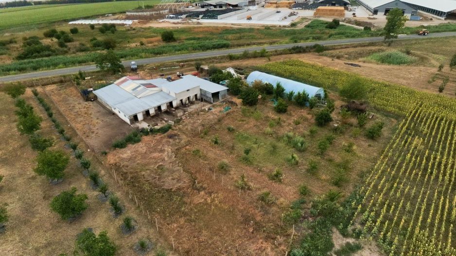 Livadă de 3,6 hectare în Iratoșu – Oportunitate - Poză 8