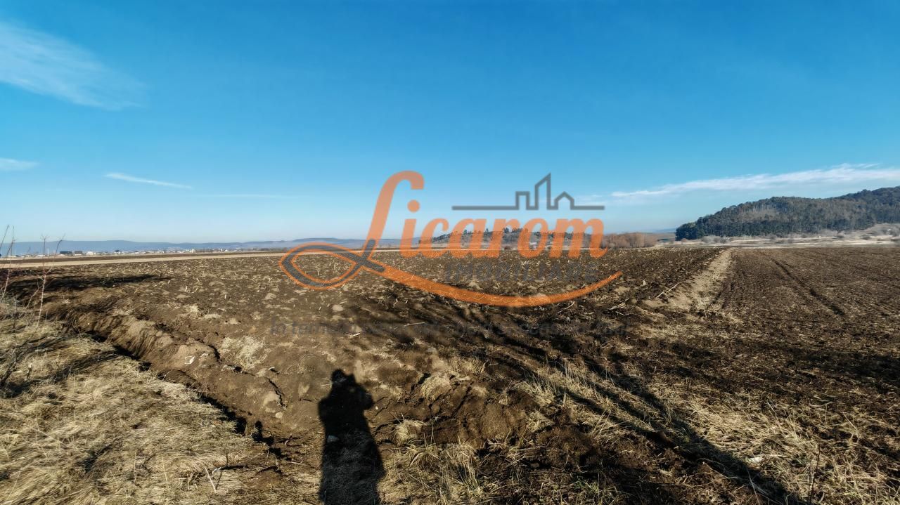 Teren intravilan Sanpetru vis a vis de Caminul Maria,utilitati. - Poză 2