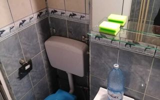 O camera mare libera in apt 3 cam Mircea pentru baiat - maxim 30 ani - Poză 5