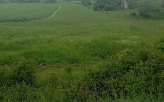 Teren 7140 mp de vanzare Murgasi - Oportunitate  investiție - Poză 2