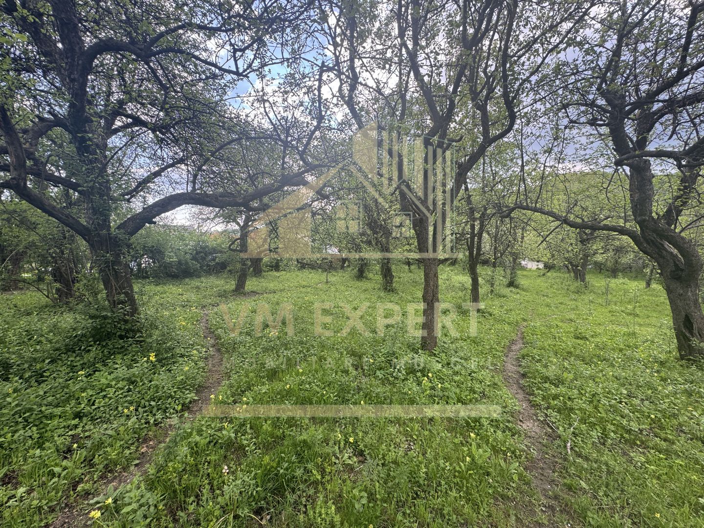 TEREN INTRAVILAN 7018 MP CAMPULUNG - Poză 22