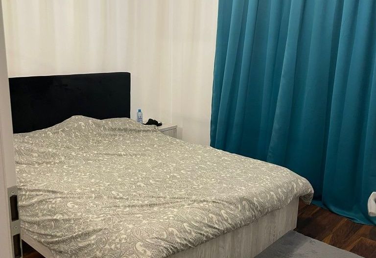 Garsoniera- Brazda lui Novac - Poză 1