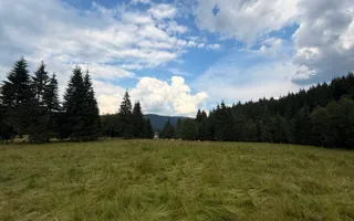 PARCELE DE VÂNZARE, pe malul râului BÂSCA, COMANDAU, COVASNA - Poză 14