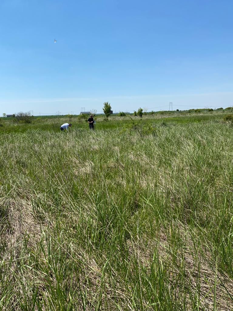 Teren la DN7 - ideal investitie (Benzinarie, spalatorie, hala) - Poză 1