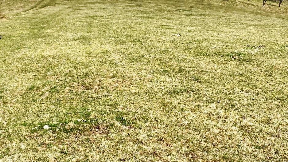 Teren pe platoul satului Pestera - Poză 1